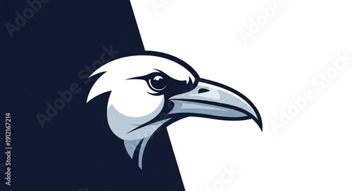 vector illustration of a dolphin