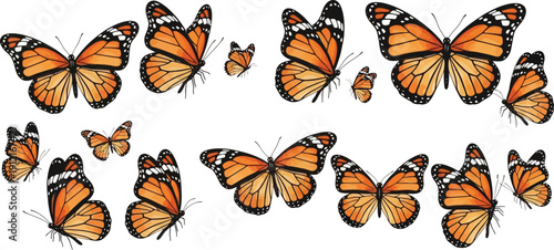 Monarch butterflies in various stages of flight and rest