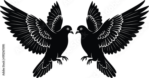 Pair of flying dove birds with spread wings facing each other vector illustration isolated on white background for peace.