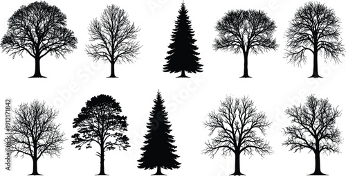Collection of black tree silhouettes, deciduous and evergreen forest shapes, isolated on white background, nature illustration set for design projects artwork