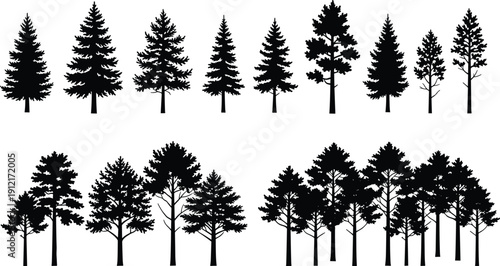 Collection of conifer and pine tree silhouettes isolated on white background, black evergreen forest set for vector illustration, landscape design, and nature projects