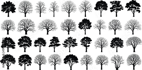 Collection of detailed tree silhouettes including leafless and leafy trees isolated on white background for vector illustration, seasonal design, and landscape projects