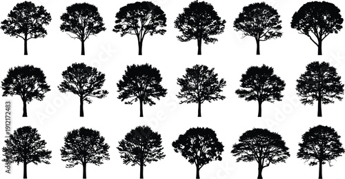 Collection of tree silhouettes isolated on white background, black forest shapes set, nature elements for design, logo, illustration, and decoration