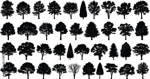 Extensive set of realistic tree silhouettes isolated on white background, black botanical collection with varied shapes for vector design, illustration, and landscaping projects