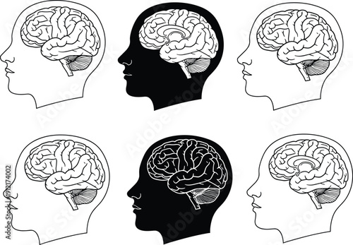 Human head silhouette with detailed brain anatomy illustration, neuroscience, psychology, thinking process, mental health, and medical concept in black vector style