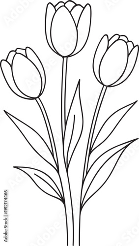 Simple line drawing of three tulips with leaves on a white background