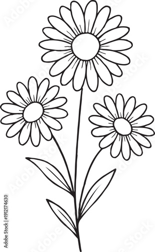 Simple line drawing of three daisies with green leaves