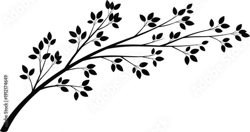 Minimalist black tree branch silhouette with leaves, nature botanical illustration, elegant floral design isolated on white background for decoration
