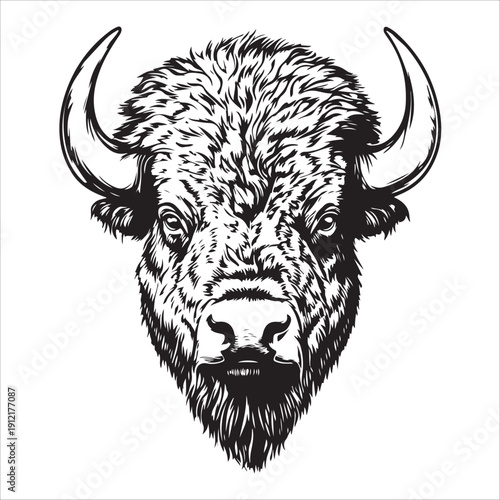 Head of bull silhouette vector design