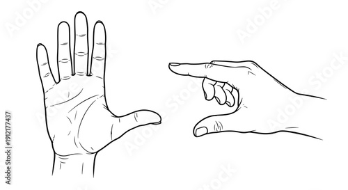 Two Hand Gestures Open Palm and Pointing Finger.