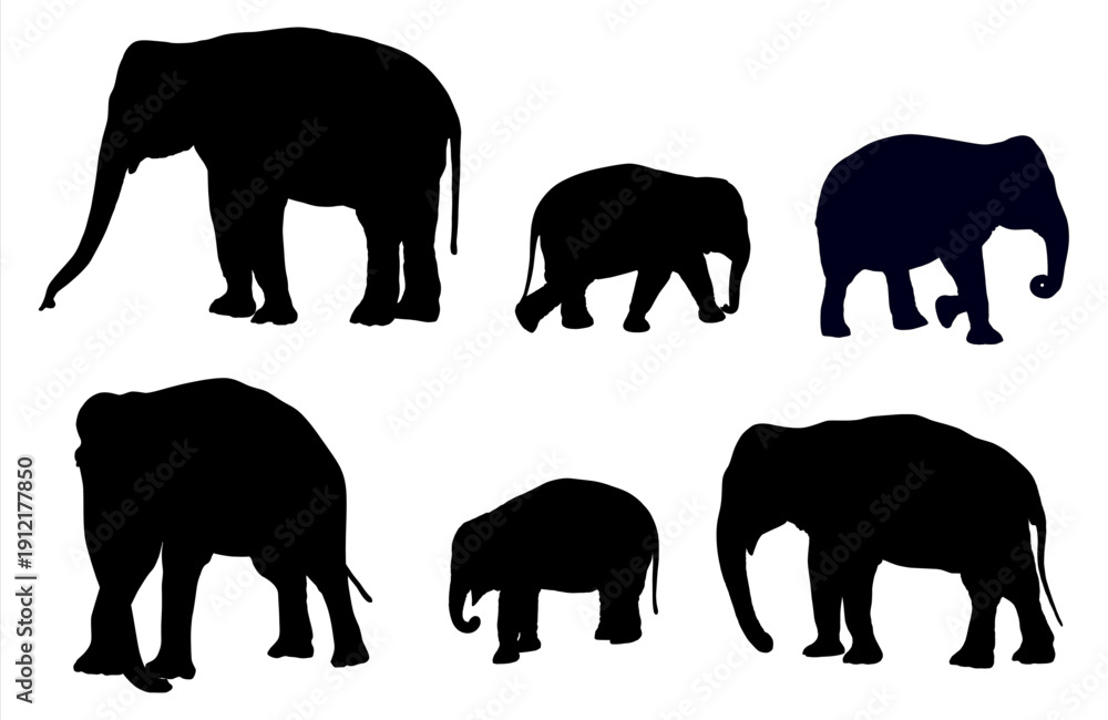 Fototapeta premium Silhouette of several elephants against white background. Vector illustration depicting black elephant shapes ideal for design elements.