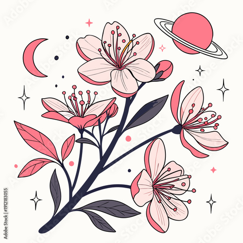 Pink flowers and celestial bodies with stars on white background