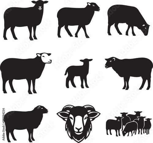 Set of silhouettes of sheep on transparent background.