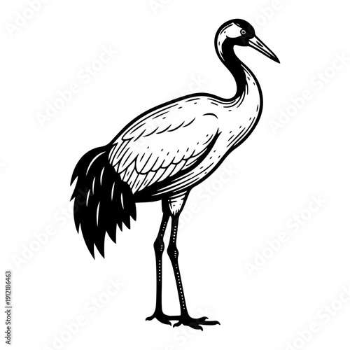 Elegant black and white woodcut of a tall crane bird standing