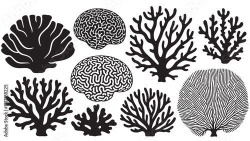 Collection of black and white coral silhouettes and abstract reef shapes.