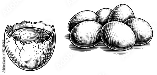 Detailed illustration of a broken egg shell with yolk alongside a group of whole eggs