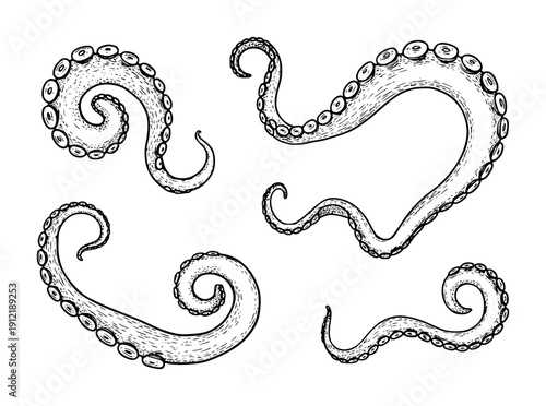 Black ink of swirling octopus tentacles with suckers white background ocean marine