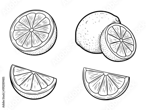 Hand drawn black and white citrus fruit slices and whole fruit orange lemon