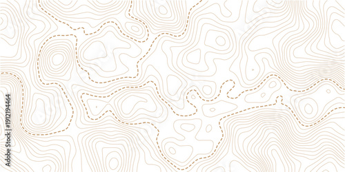 Abstract topo contour map on white background, Topographic map Topographic contour lines map seamless pattern.Abstract origami papercut gray color texture, curved layers and elevation contour lines.