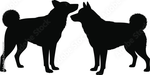 Artistic black and white vector silhouette of two husky dogs facing each other for domestic pet, sled dog, and animal companionship nature design.
