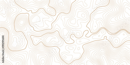 Topographic gold luxury map background. Geographic abstract pattern. Modern design with White background with topographic wavy pattern design.Rendering abstract illustration.