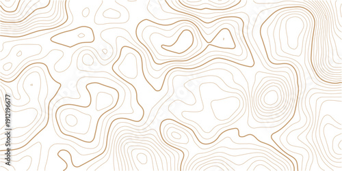 Topographic gold luxury map background. Geographic abstract pattern.Digital future technology concept. vector illustration.
