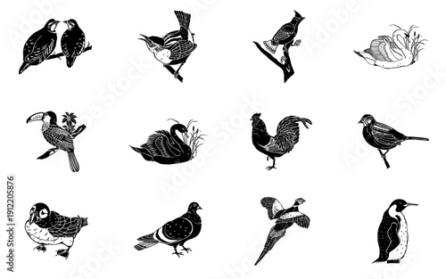 Birds icon collection. Includes penguin, seagull, duck, pigeon, and robin illustrations. Created in monochrome style with black and white palette.