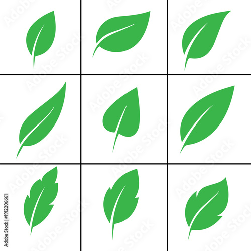 Green leaf icons set. Leaves icon on isolated background. Collection green leaf. Elements design for natural, eco, vegan, bio labels. Vector illustration EPS 10