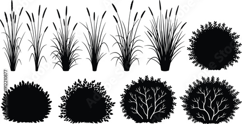 Grass and bush silhouette collection with reeds, meadow plants and round shrubs, black vector botanical set isolated on light background