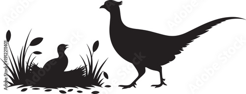 Pheasant parent and chick in grassy nest silhouette vector on transparent background