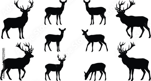 Large collection of black deer silhouettes featuring stags with antlers and does in standing, walking, and grazing poses isolated on white background for wildlife and nature design.