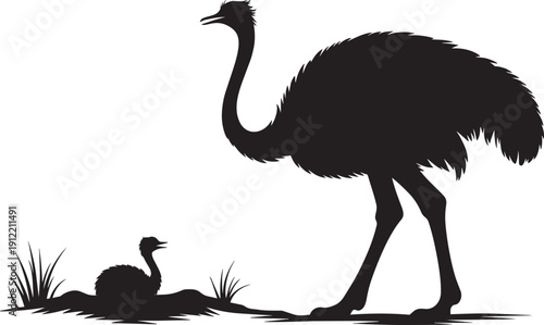 Silhouette of mother ostrich and chick in grassy field
