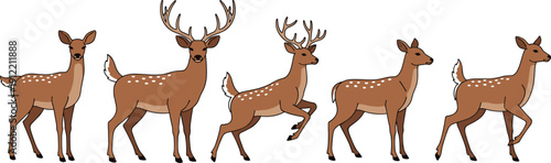 Cartoon deer illustration, five standing animals with antlers and spotted backs, playful wildlife vector design for education, decoration