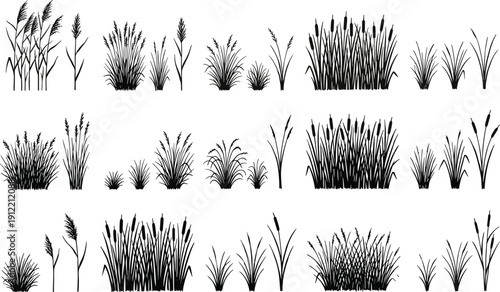 Large set of black grass silhouettes including cattails, reeds, bulrushes, and wild meadow greenery isolated on white background for nature landscaping and wetland environment design projects.
