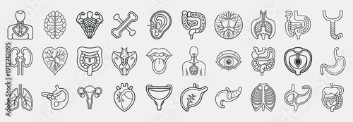 Medical Organs Line Icons Set. Vector pictograms of the brain, lungs, liver, kidneys, stomach, bladder, appendix, ovary, etc. Human Anatomy Outline Vector Collection for Healthcare and Education. 