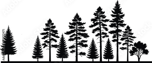 Pine tree silhouette landscape with forest skyline, black solid vector illustration of evergreen trees isolated on light background