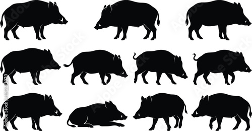 Wild boar silhouette set in various walking and standing poses, black vector animal collection isolated on light background