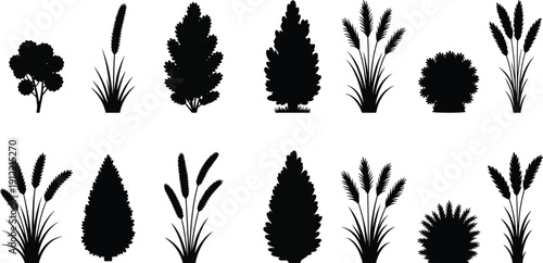 Black Plant Silhouettes, Shrubs, Grasses and Reeds, Vector Garden Foliage Icons for Landscaping, Nature, Decorative and Botanical Design Illustration Set