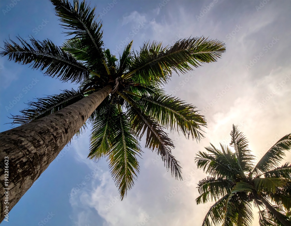 Fototapeta premium Low-angle shot of tall tropical palms reaching toward a bright, partly cloudy sky. Sunlight filters through the fronds