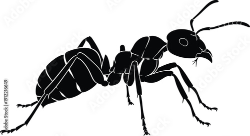 Detailed black silhouette of an ant worker insect isolated on white background for nature, entomology, pest control, and colony concepts.