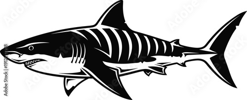 Great white shark silhouette illustration, aggressive ocean predator marine animal vector art isolated on white background for logo tattoo design
