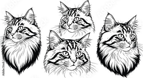 Hand drawn cat faces illustration, black and white feline portrait set, detailed line art, domestic animal sketch collection