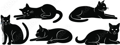 Black cat silhouettes, feline resting poses, stylized illustration, minimal design, whiskers detail, vector art, pet animal graphic design