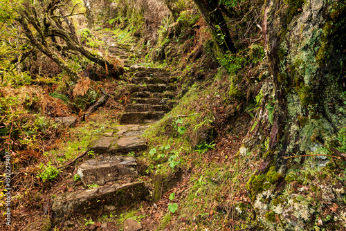 Quadro em tela Stone steps at a path section of the Vereda da Encumeada hiking trail, a ridge