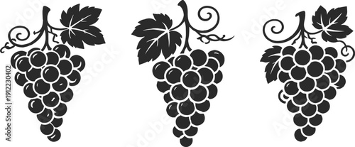  collection of elegant black and white  vector icons for fruits, vineyards, trees, and organic farming concepts featuring various grape bunches, leaves, and wine.