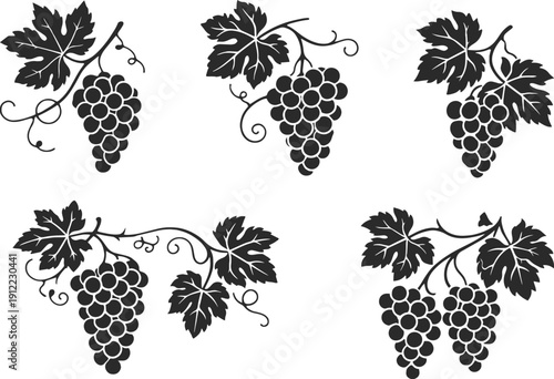  collection of elegant black and white  vector icons for fruits, vineyards, trees, and organic farming concepts featuring various grape bunches, leaves, and wine.