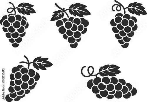  collection of elegant black and white  vector icons for fruits, vineyards, trees, and organic farming concepts featuring various grape bunches, leaves, and wine.