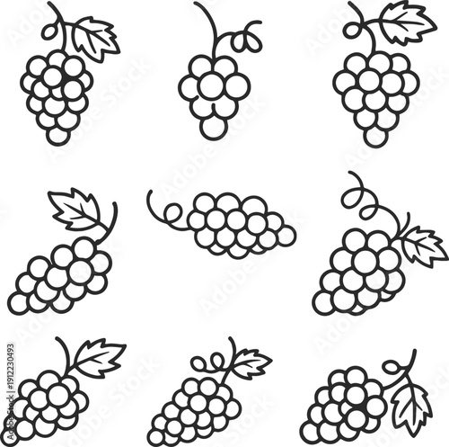  collection of elegant black and white  vector icons for fruits, vineyards, trees, and organic farming concepts featuring various grape bunches, leaves, and wine.