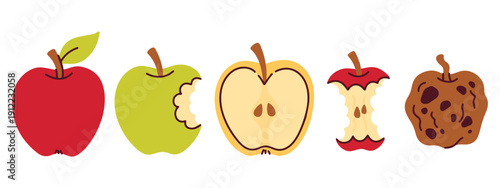 Five apples are arranged in a row showing the stages of consumption and aging from whole and bitten to halved, eaten, and completely rotten. A visual study of the natural life cycle.