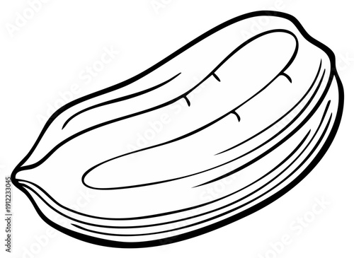 Stylized Illustration of a Single Almond Nut Outline